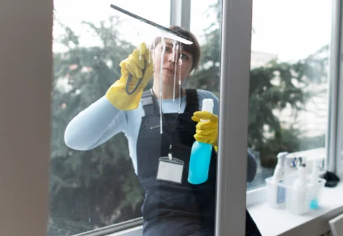 Nettoyage de vitres intérieures et extérieures à Moulismes